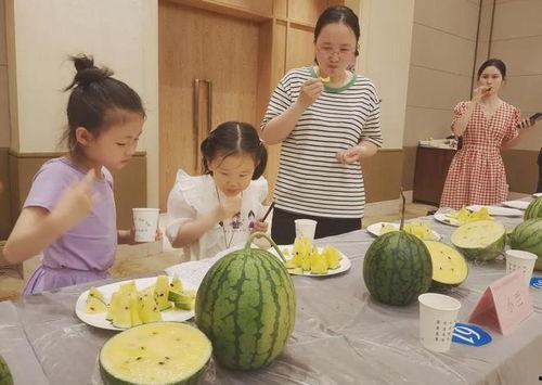 最新吃瓜事件,神秘恋情曝光，明星夫妻疑分手