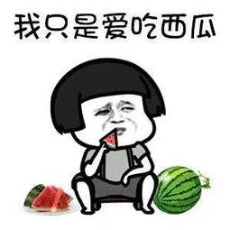 娱乐吃瓜好看吗,一场视觉盛宴的感官之旅