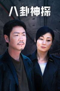 八卦神探国语mkv,揭秘神秘事件的MKV国语版