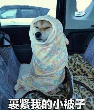 东北打雪仗 表情包